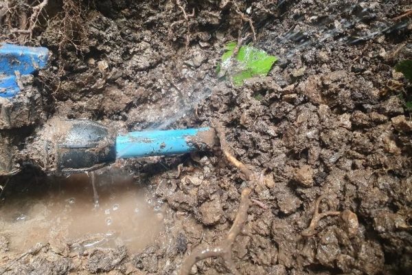 Water Mains Leak Detection Chatham
